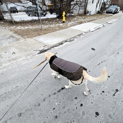 Picture of the Day