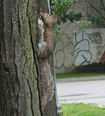 Picture of the Day