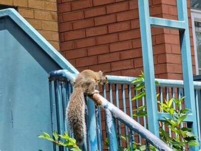 Picture of the Day